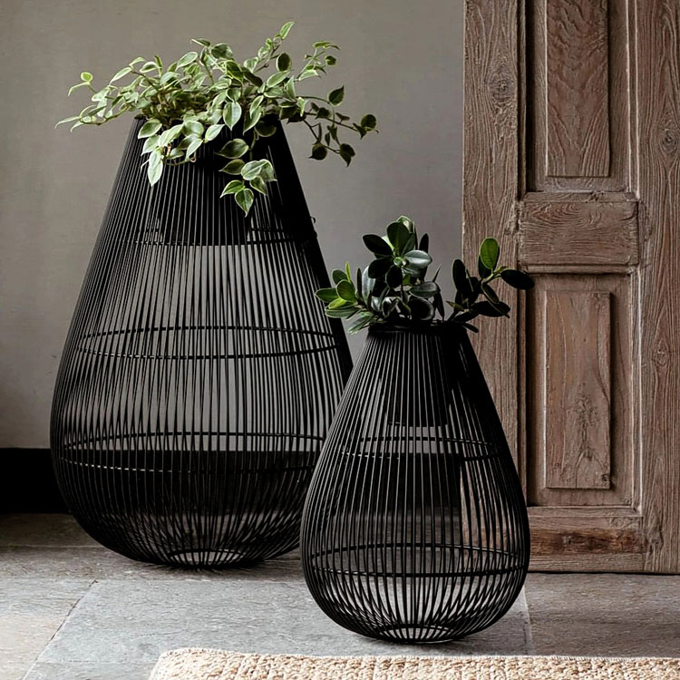 Hurricanes & Lantern